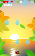 Ladybird Escape the rain screenshot 5