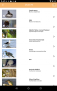 Abel Tasman screenshot 1