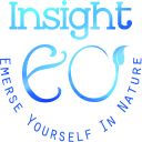 Insight EO Icon