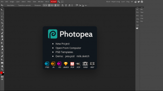 Advanced Editor | Photopea screenshot 5
