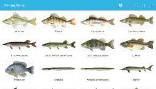 Planeta Piscis screenshot 7