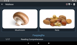 Maltese Language Tests screenshot 3