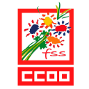 FSS CCOO