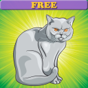 고양이 : 책을 색칠! FREE Icon