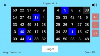 Bingo Star screenshot 0