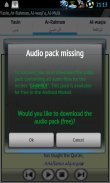 Audio Pack (Abdul Basit) screenshot 1