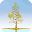 Ginkgo Tree Live Wallpaper