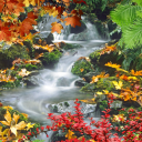 Forest, waterfall, lake Icon