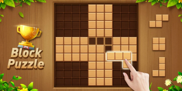 Wood Block Puzzle - Brain Game screenshot 2