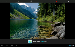 NaturePix (HD) screenshot 2