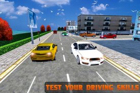 Driving School 3D 2017 screenshot 3