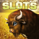 Buffalo Slots | Slot Machine