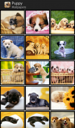 Puppy - HD Wallpapers screenshot 6