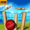 Top Cricket Ball Slope Game Icon