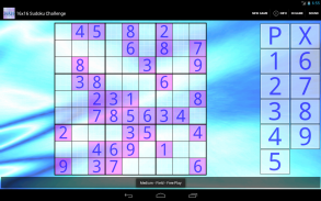 16x16 Sudoku Challenge HD screenshot 3
