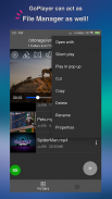 GoPlayer - Multiple videos 5G player all format screenshot 4