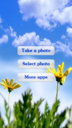 Flowers Photo Frames screenshot 0