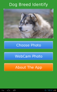 Dog Breed Auto Identify Photo screenshot 3