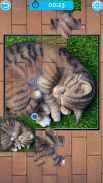Cat Jigsaw Puzzle screenshot 1
