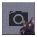 Cat Bomb Camera Icon