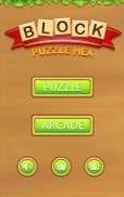 Hexa Box - Puzzle Block screenshot 13