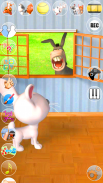 Talking 3 Friends Cats & Bunny screenshot 6