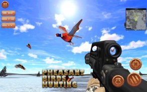 Pheasant birds hunting Games screenshot 0