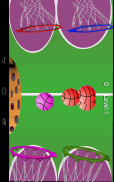 Super BasketBall Saga screenshot 3