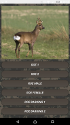 Deer hunting calls screenshot 3