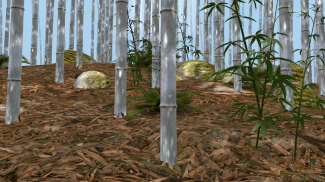 Bamboo Forest Wallpaper Lite screenshot 7