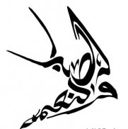 تصاميم الخط العربي screenshot 7