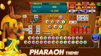 Luck'e Bingo : Video Bingo screenshot 14