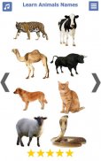 Learn Animals Name Animal Soun screenshot 0