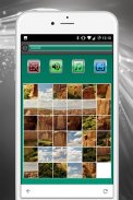 PuzzleMania Natur Pro screenshot 4