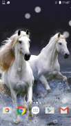 Horses Live Wallpaper HD screenshot 2