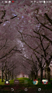 Spring Cherry Blossom Live Wallpaper FREE screenshot 1