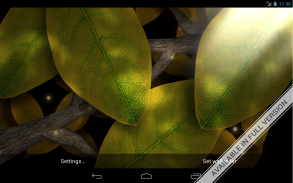 Tap Leaves Free Live Wallpaper screenshot 4