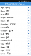 Daily Words English to Punjabi screenshot 3