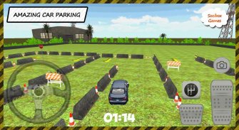 Fast Car Parking screenshot 5