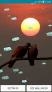 خلفيات حية - طيور الحب screenshot 4