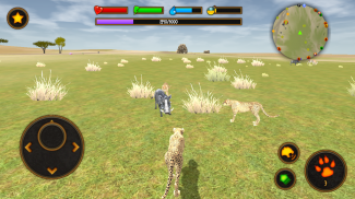 Clan of Cheetahs screenshot 5