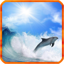 Dolphin Live Wallpaper