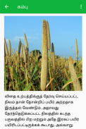 Agri News - Tamil screenshot 7