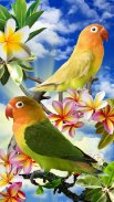 Birds Live Wallpaper Free screenshot 1