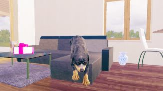 Trình mô phỏng chó Rottweiler screenshot 15