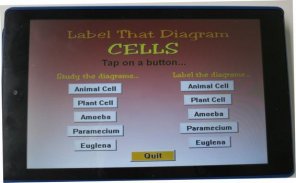 Label that Diagram - Cells screenshot 8