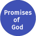 Promises of God Icon