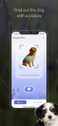 Dog Scanner: Breed Identifier screenshot 0