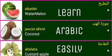 Learn Arabic From English screenshot 8