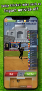 Cricket LBW - Umpire's Call screenshot 9